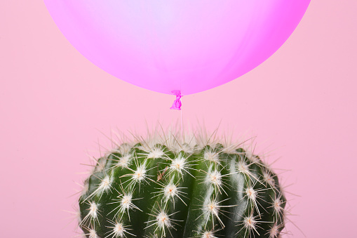 Violet balloon over cactus on pink background