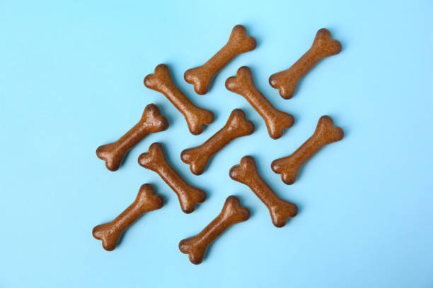 istock Bone shaped dog cookies on light blue background, flat lay 1683152624