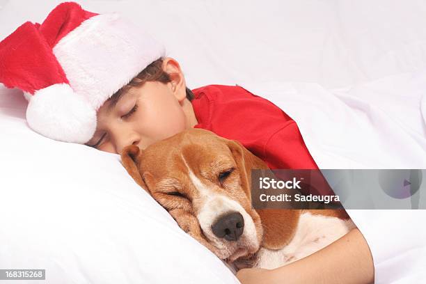 Photo libre de droit de Réveillon De Noël banque d'images et plus d'images libres de droit de Noël - Noël, Beagle, Couverture