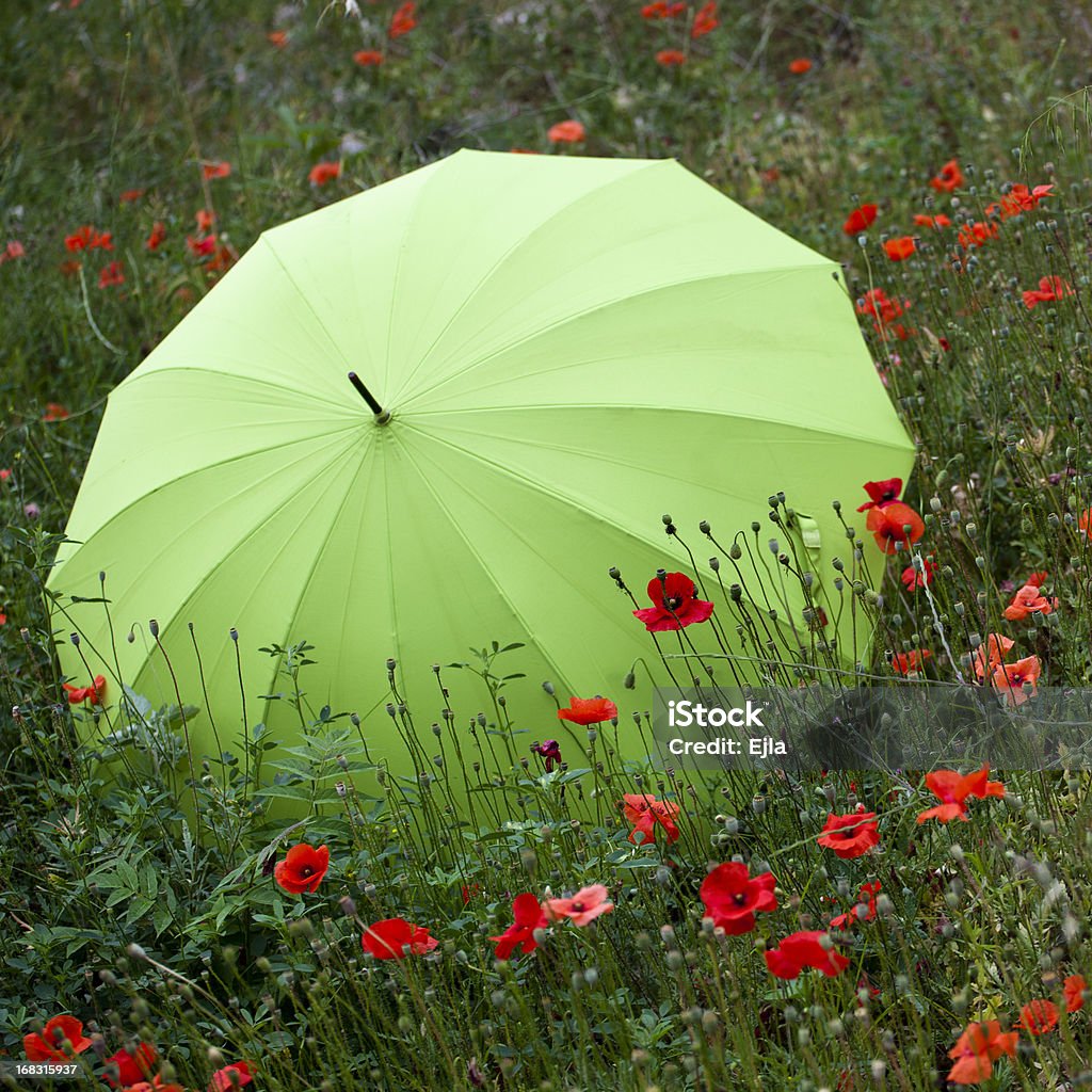 グリーンの傘 Poppies - カラー画像のロイヤリティフリーストックフォト