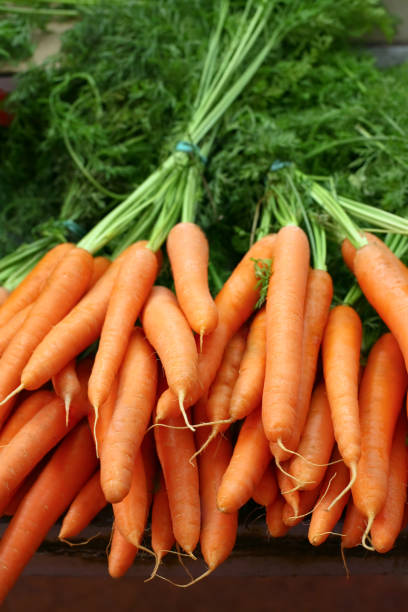 istock Fresh organic carrots in bundles 168315952
