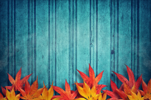 Autumn leaves on a blue grungy background.