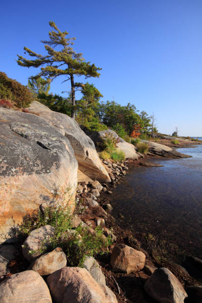 istock Georgian Bay Autumn 168317808