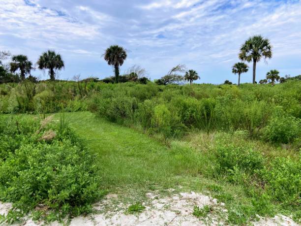 Sullivan’s Island Beach in South Carolina