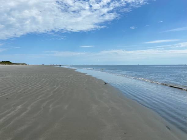 istock Sullivan’s Island Beach in South Carolina 1683188165