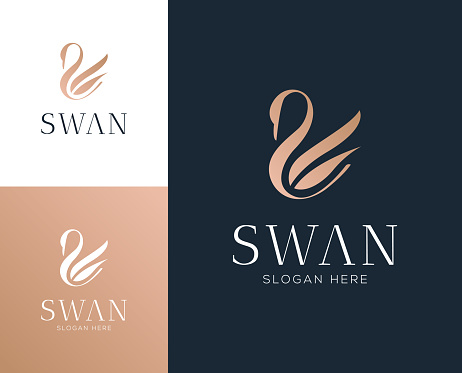 Abstract luxury swan logo design vector illustration