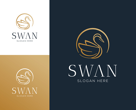 Abstract luxury swan logo design vector illustration