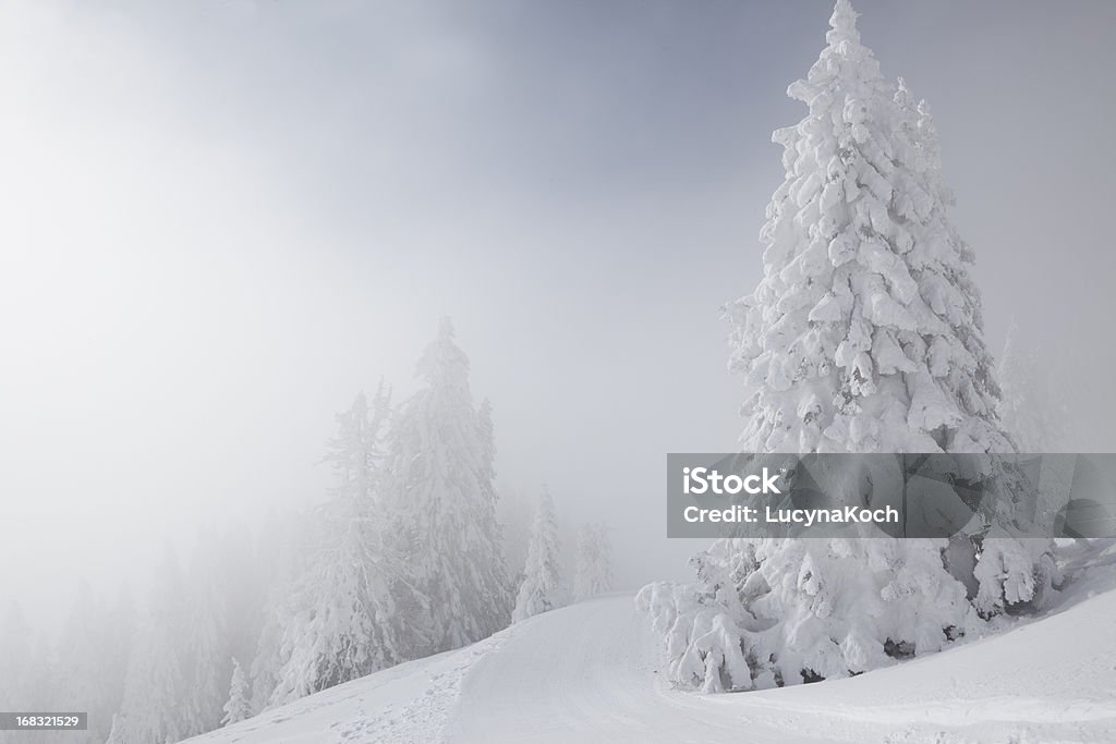 Schneesturm in den Bergen - Lizenzfrei Alpen Stock-Foto