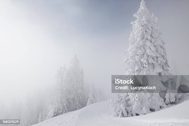 Schneesturm In Den Bergen Stockfoto und mehr Bilder von Alpen - Alpen, Baum, Beengt