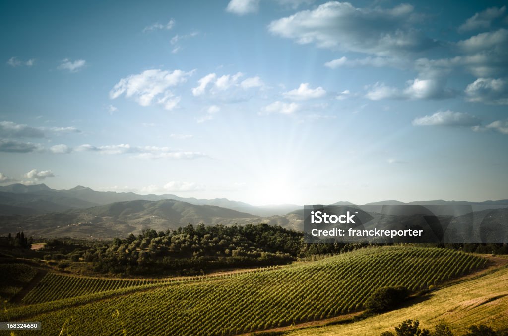 Tierra de Toscana al atardecer - Foto de stock de Agricultura libre de derechos