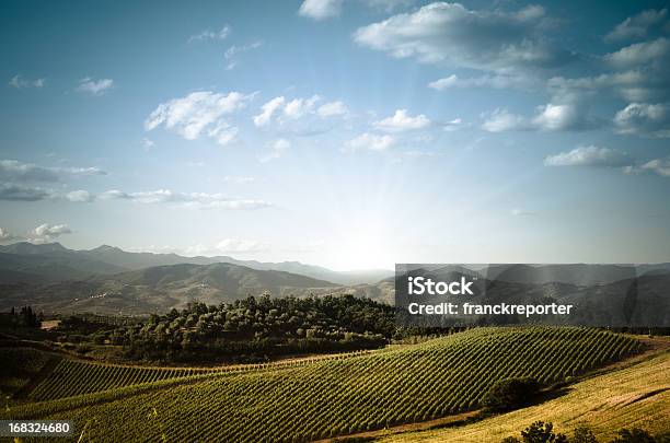 Tierra De Toscana Al Atardecer Foto de stock y más banco de imágenes de Agricultura - Agricultura, Aire libre, Azul
