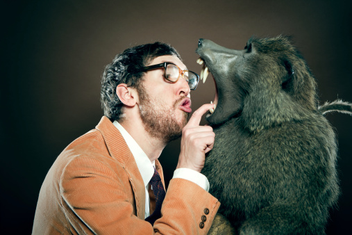 A vet dentist looks into the mouth of an ape with sharp teeth, the baboon opening his mouth wide.  Vertical with copy space.  Man is wearing a corduroy blazer, tie, and thick glasses.  Horizontal with copy space.