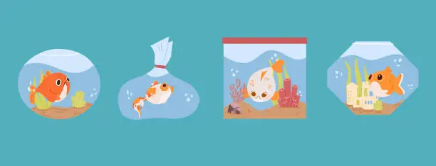 Vector illustration of Cartoon home aquarium with fish, corals, plants and decor. A set of aquariums with goldfish.