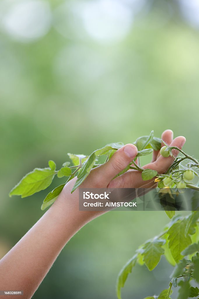 Pflanzen sind unsere Freunde - Lizenzfrei Anleitung - Konzepte Stock-Foto