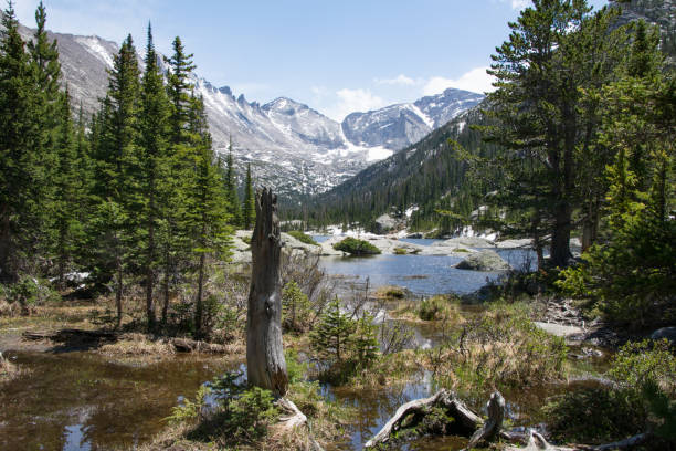 istock Marsh surrounding a mountain lake 1683287024