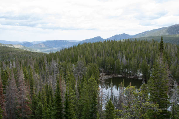istock Overlooking a mountain lake surrounded by a forest 1683289051