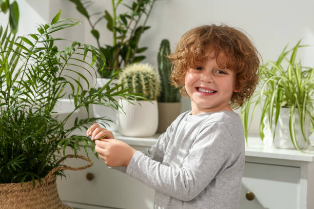 mignon petit garçon près de belles plantes vertes à la maison. décoration de la maison - preschooler preschool multi ethnic group plant photos et images de collection