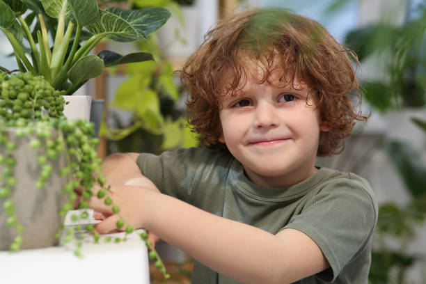 mignon petit garçon prenant soin de belle plante verte à la maison. décoration de la maison - preschooler preschool multi ethnic group plant photos et images de collection