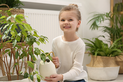 Cute little girl holding watering can near beautiful green plant at home. House decor