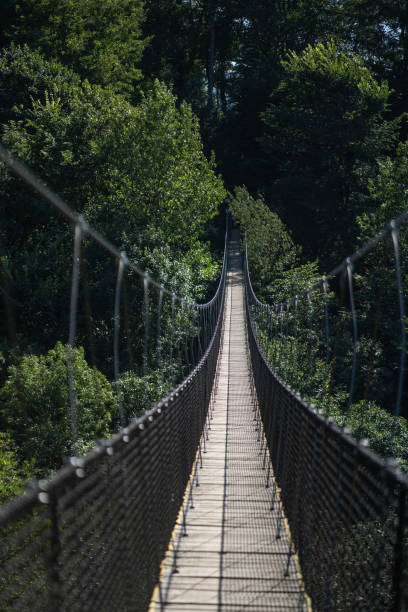 istock vertical view of a suspension bridge 1683418278