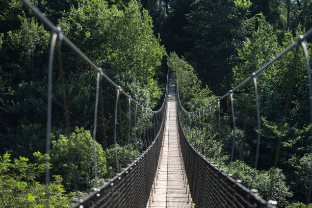 istock horizontal view of a suspension bridge 1683418282