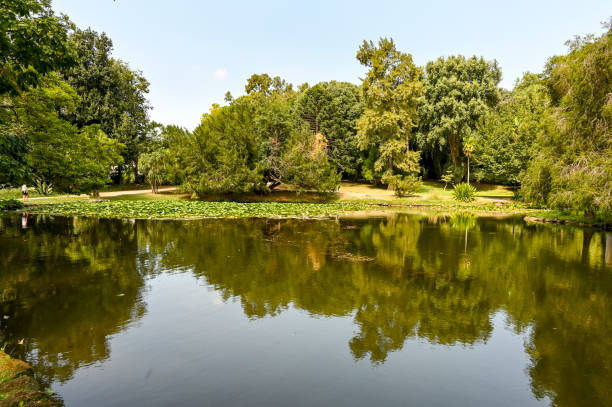 istock Pond in the Palace 1683439475