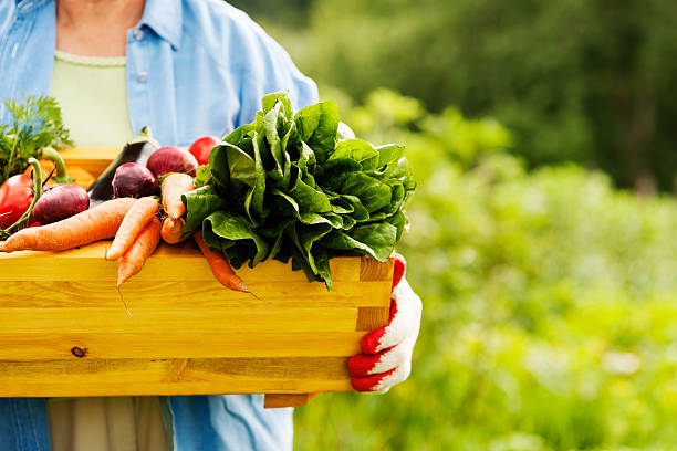 Senior woman holding box with vegetables