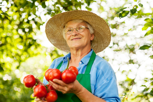 Senior woman with tomatoes