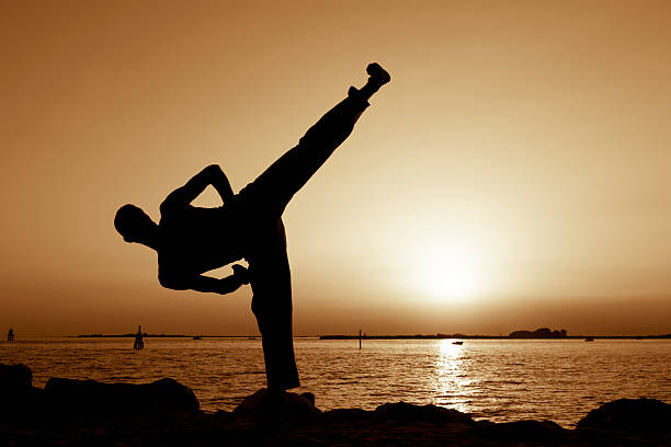 pierna en alto - kicking tae kwon do martial arts flying fotografías e imágenes de stock