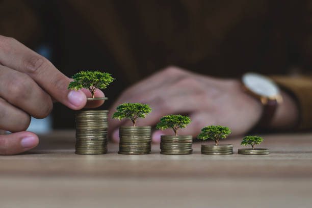istock Male hand putting money coin stack growing business on wood table with a growing tree represents a profitable long-term investment. 1683496375