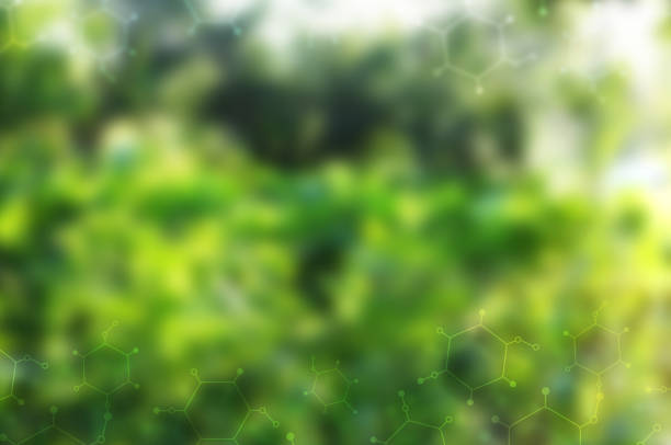 istock Blurry grass on sunny background with digital mineral nutrients icon. Fertilization and the role of nutrients in plant life 1683533307