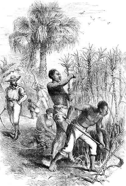 ilustrações de stock, clip art, desenhos animados e ícones de escravatura - slave labor