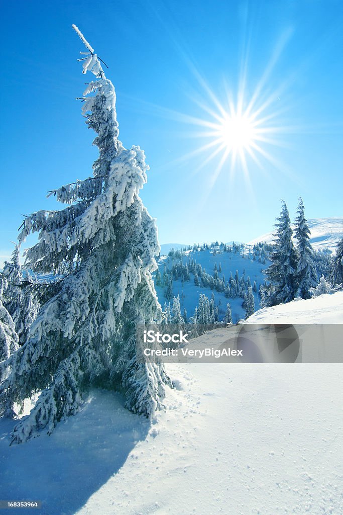 Paisaje de montañas invernales. - Foto de stock de Abeto libre de derechos