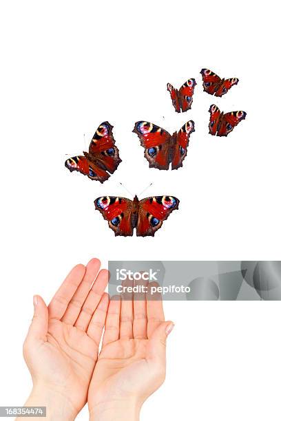 Freedom Stock Photo - Download Image Now - Butterfly - Insect, Red, Cut Out