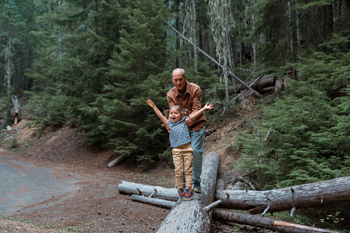 A cute multiracial three year old girl raises her arms in the air and cheers in celebration as her adventurous and active grandfather helps her balance on top of a fallen tree log they found while hiking in the forest in Oregon.