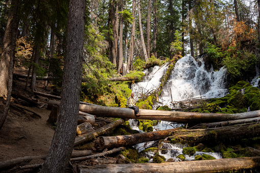 Wide view of a vibrant senior woman of Pacific Islander descent sitting on a fallen log crossing over a mountain stream at the base of a waterfall surrounded by lush vegetation and mossy rocks in a forest in Oregon and looking up with wonder at the beautiful and serene nature surrounding her.