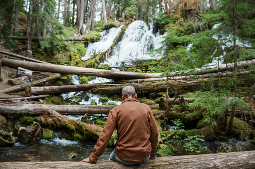 Rear view of an active senior man sitting on a log at the base of a beautiful waterfall surrounded by lush vegetation and moss covered rocks in an evergreen forest in Oregon.