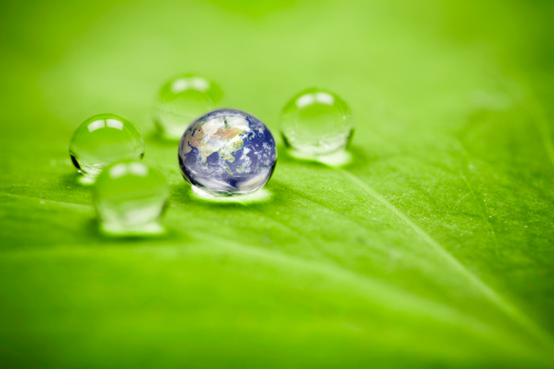 3X macro of waterdrops on a leaf reflecting our earth. Shallow depth of field. ProPhoto color space. Asia earth orientation.