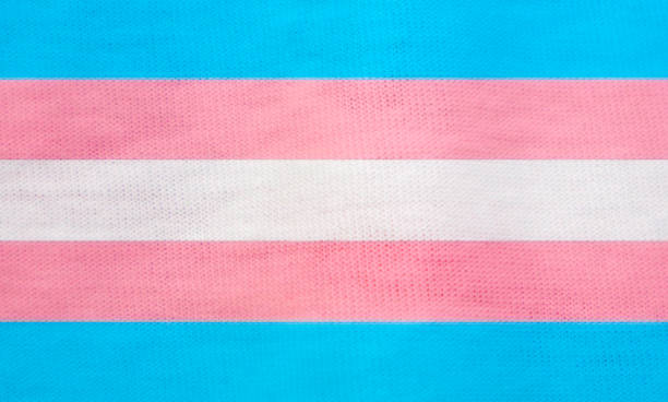 istock LGBT flag texture as the background 1683578451
