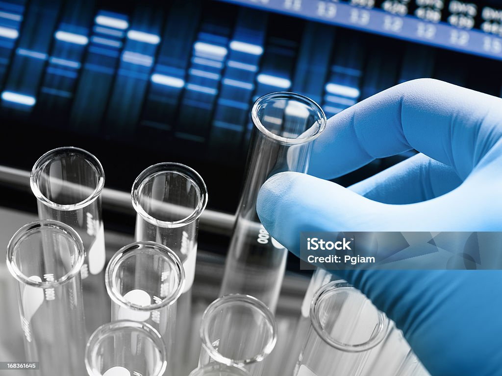 Badania genetyczne w laboratorium - Zbiór zdjęć royalty-free (Żel do sekwencjonowania DNA)