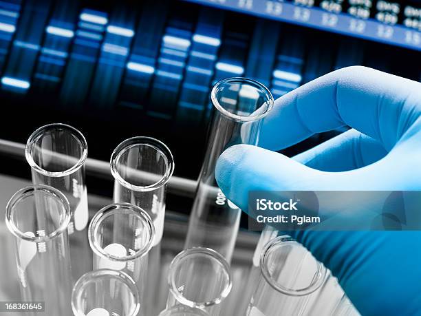 Badania Genetyczne W Laboratorium - zdjęcia stockowe i więcej obrazów Żel do sekwencjonowania DNA - Żel do sekwencjonowania DNA, Badania DNA, Kodować