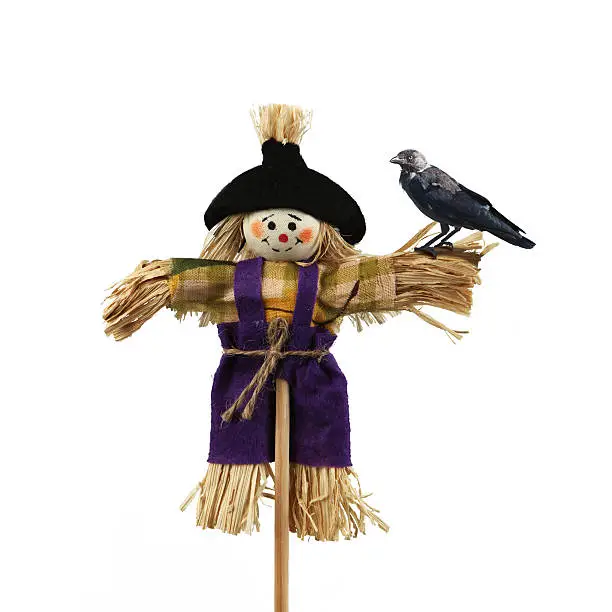 A scarecrow infront of the white background