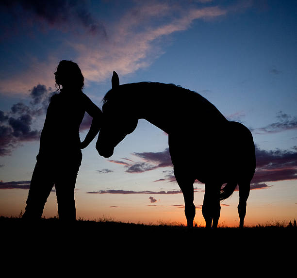 istock Horse And Woman Silhouette 168367630