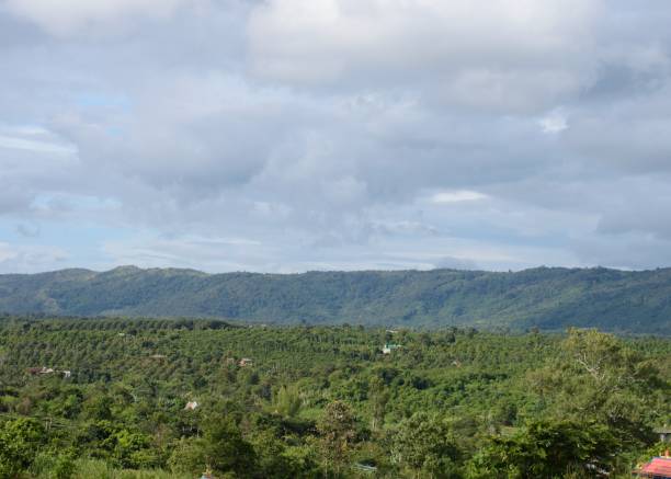 istock Green trees, mountain and couldy sky 1683680570