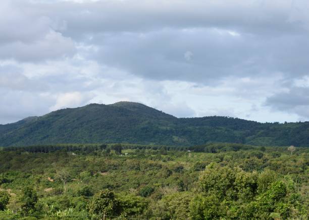 istock Green trees, mountain and couldy sky 1683682813