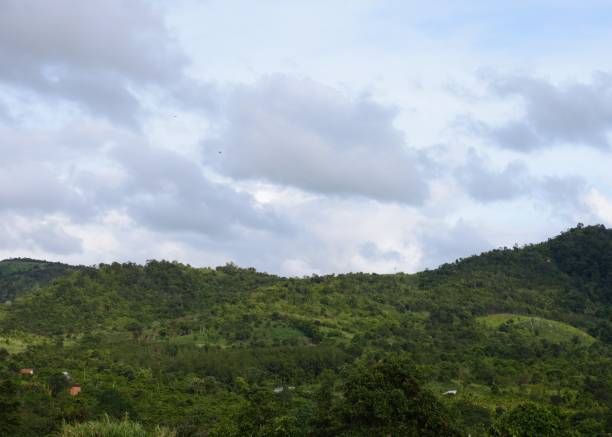 istock Green trees, mountain and couldy sky 1683684396