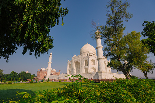 Taj Mahal historical monument at Agra India with clear blue sky and sprawling garden. An example of Mughal Indian architecture built on the Yamuna river banks.