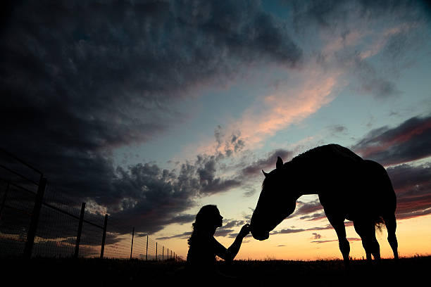 Silhouette Woman Petting Horse