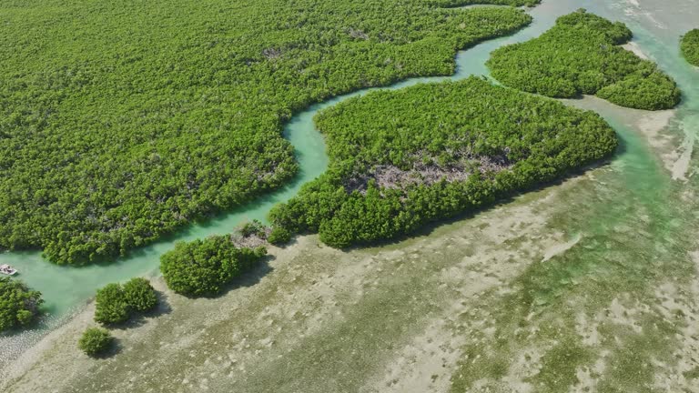 Key West Florida Aerial v27 cinematic birds eye view drone flyover and around Mud Keys capturing a boat sailing through the channel into the mangrove forests - Shot with Mavic 3 Cine - February 2023