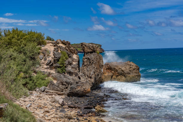 istock Coastline in Hawaii Kauai island 1683753606
